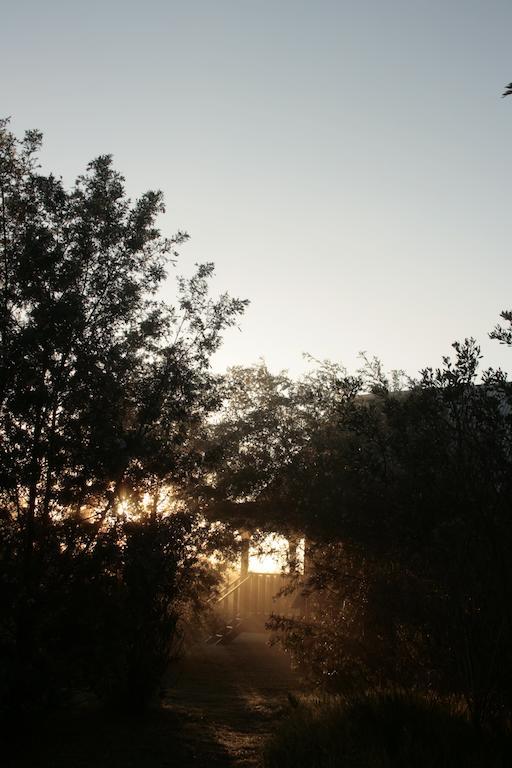 Reflections Eco-Reserve Βίλα Wilderness Εξωτερικό φωτογραφία